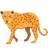 Leopar