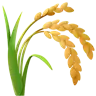 Sheaf Of Rice