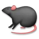 Ratte