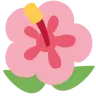 Hibiscus Emoji 🌺 image - Twitter / X (Twemoji) style