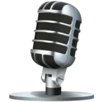 Studio Microphone