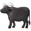 Water Buffalo