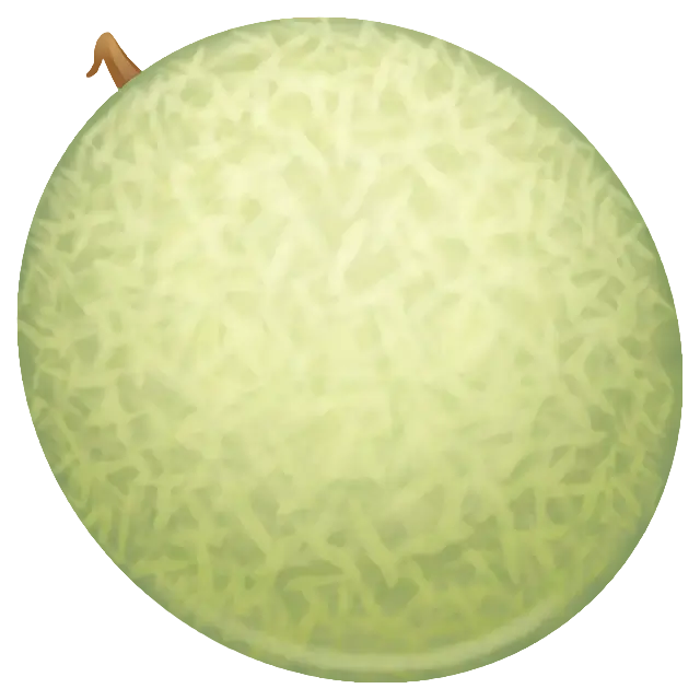 Melon