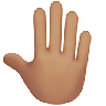 Raised Back Of Hand: Medium Skin Tone Emoji 🤚🏽 image - Apple style