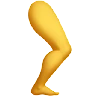 Leg