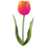 Tulpe Emoji 🌷 image - Emojidex style