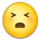 Persevering Face