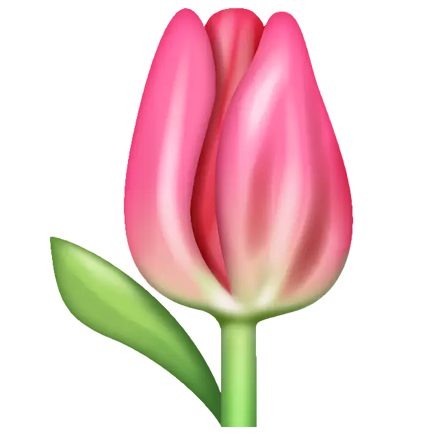 Tulip
