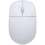 Computer Mouse