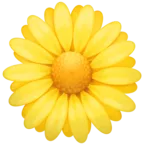 Blossom