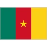 Flag: Cameroon Emoji 🇨🇲 image - Skype style