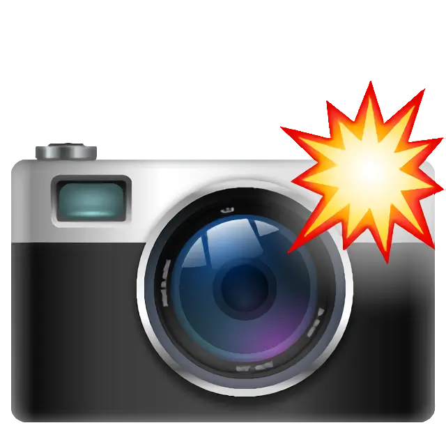 Camera With Flash