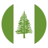 Flag: Norfolk Island Emoji 🇳🇫 image - EmojiTwo style