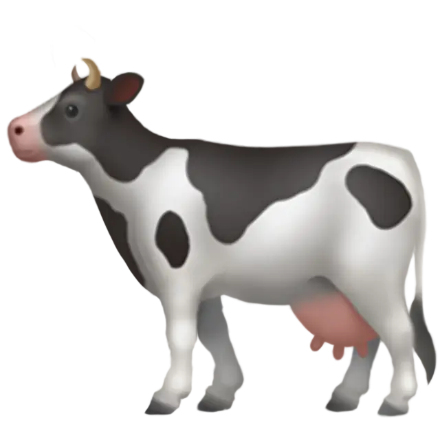 Cow