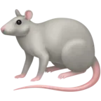 Ratte