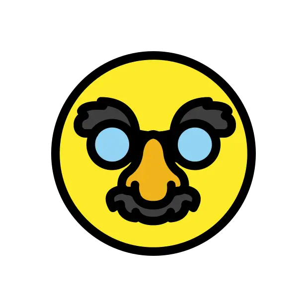 Disguised Face