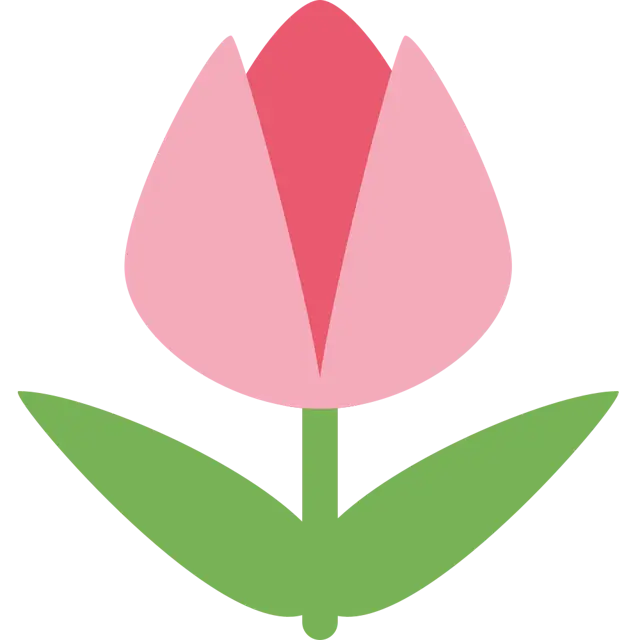 Tulip