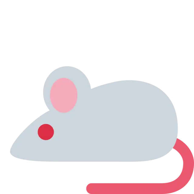 老鼠