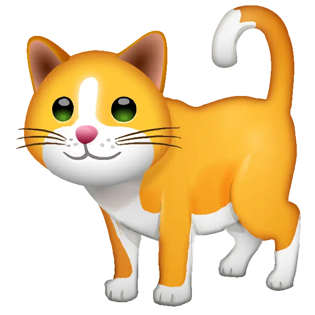 Kot
