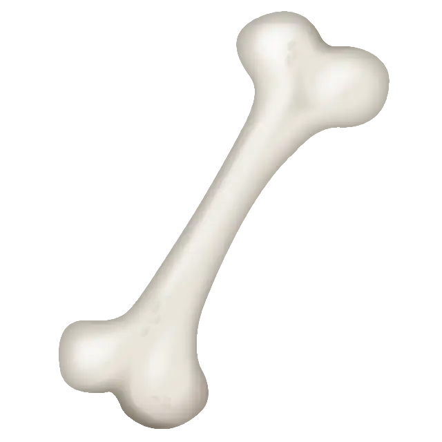 骨
