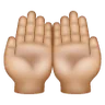 Palms Up Together: Medium-Light Skin Tone Emoji 🤲🏼 image - Samsung style
