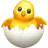 孵化小鸡