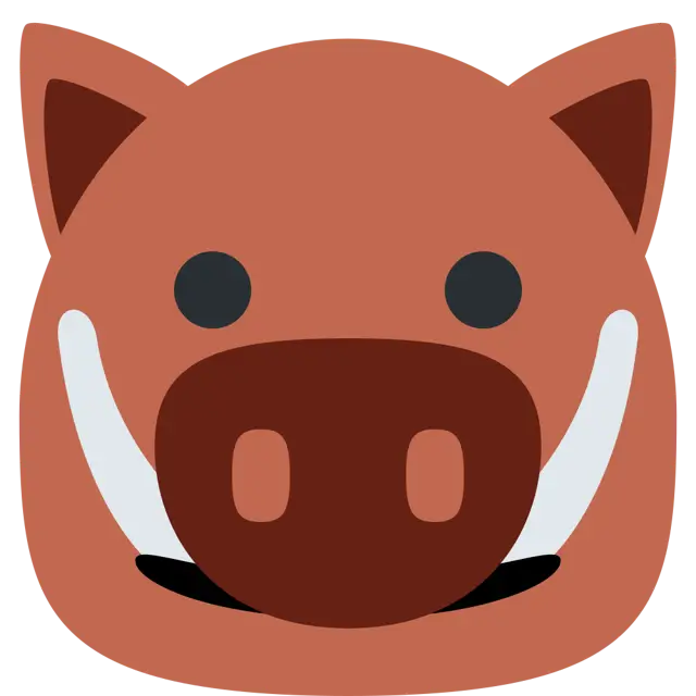 Boar