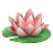 ハスの花