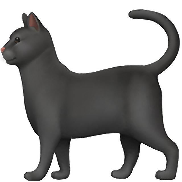 Black Cat