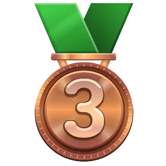 3Rd Place Medal