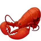 龙虾