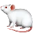 Мышь