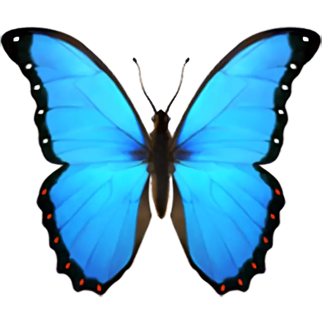Papillon
