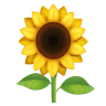 Emoji floarea-soarelui 🌻 image - Huawei Harmony OS style