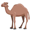 Emoji Dromedario Cammello 🐪 image - Facebook Messenger (2016) style