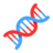 Dna Double Helix