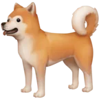 Câine