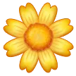 Blossom