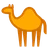 Dromedary Camel