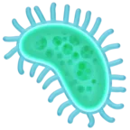 Microbio