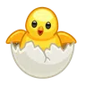 Hatching Chick