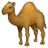 Dromedary Deve