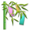 七夕树