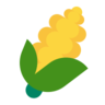 หูของข้าวโพด Emoji 🌽 image - Microsoft Classic 2D style