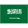 Flag: Saudi Arabia Emoji 🇸🇦 image - Skype style
