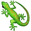 Lizard
