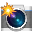 Camera With Flash