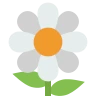 Marguerite Emoji 🌼 image - EmojiTwo style