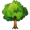 落葉樹 Emoji 🌳 image - WhatsApp style