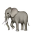 Elefante